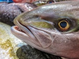 Yacht provisions and supplies in Italy - 2