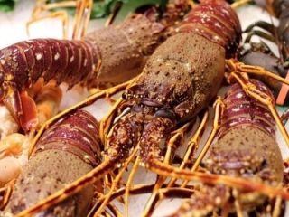 Yacht provisions and supplies in Italy - 3