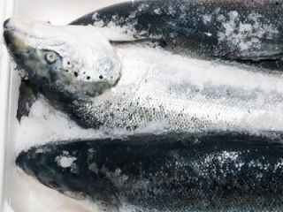 Yacht provisions and supplies in Italy - 4