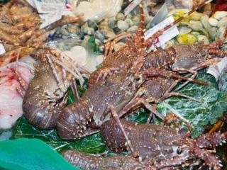 Yacht provisions and supplies in Italy - 6