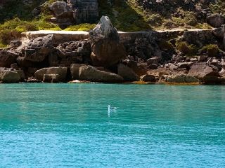 Egadi Islands Yacht Marina - 7